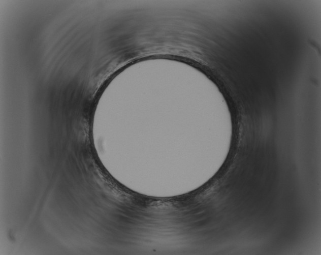 X0000103301505200809261301