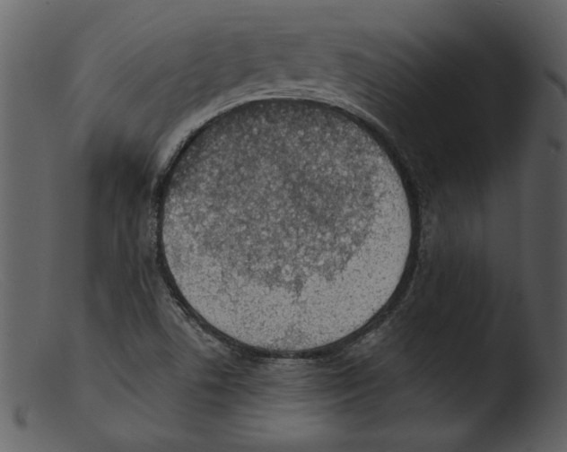 X0000103301506200809261301