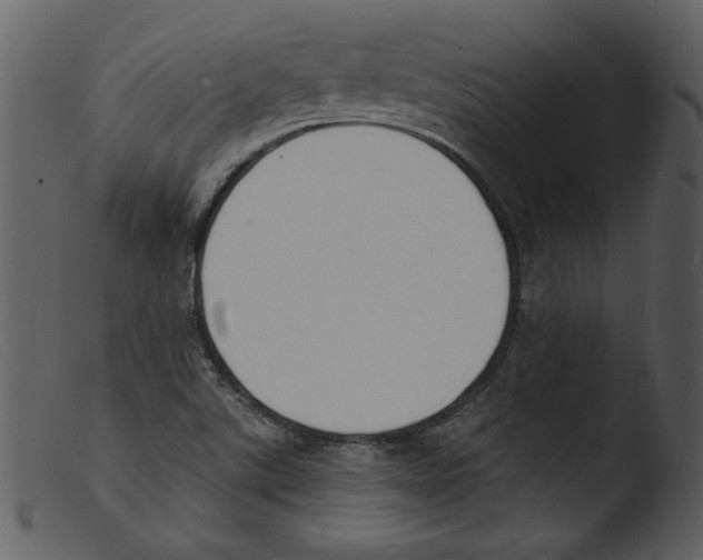 X0000103301507200809261301