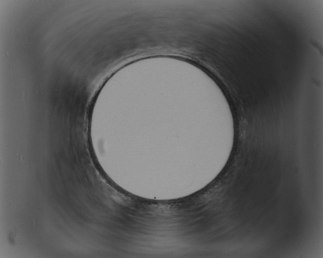 X0000103301508200809261301