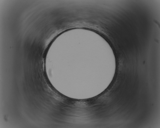 X0000103301509200809261301