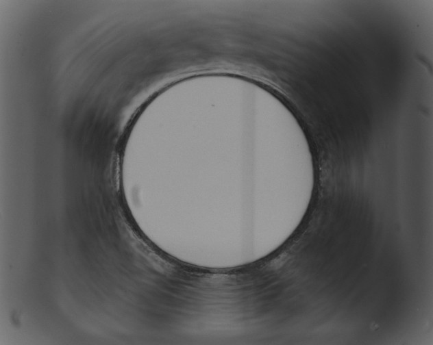 X0000103301510200809261301