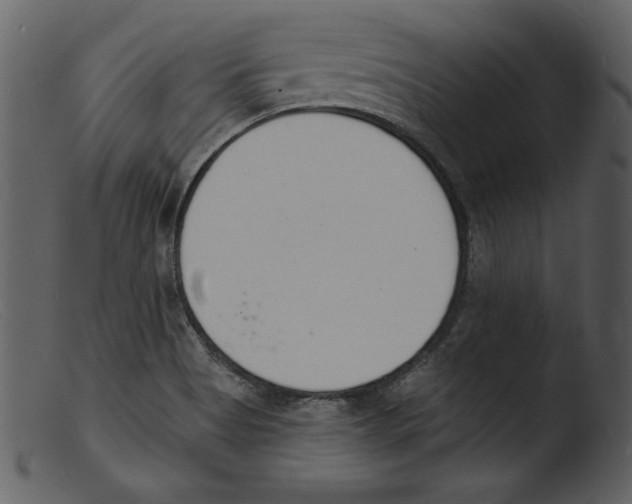 X0000103301513200809261301