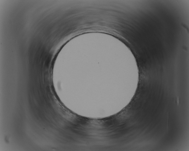 X0000103301514200809261301