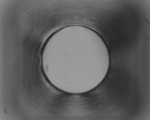 X0000103301515200809261301