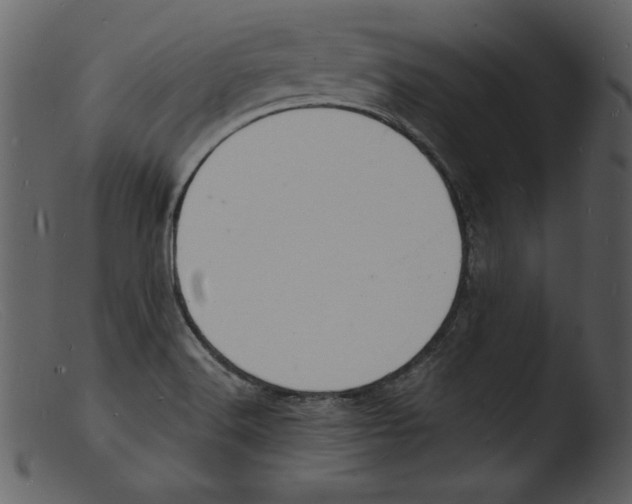 X0000103301516200809261301