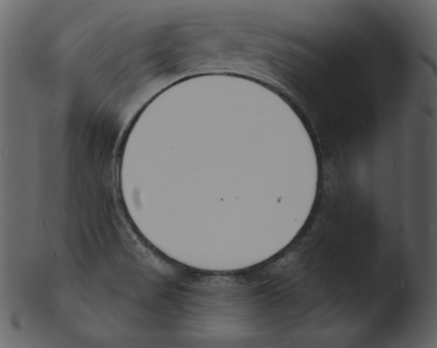 X0000103301517200809261301