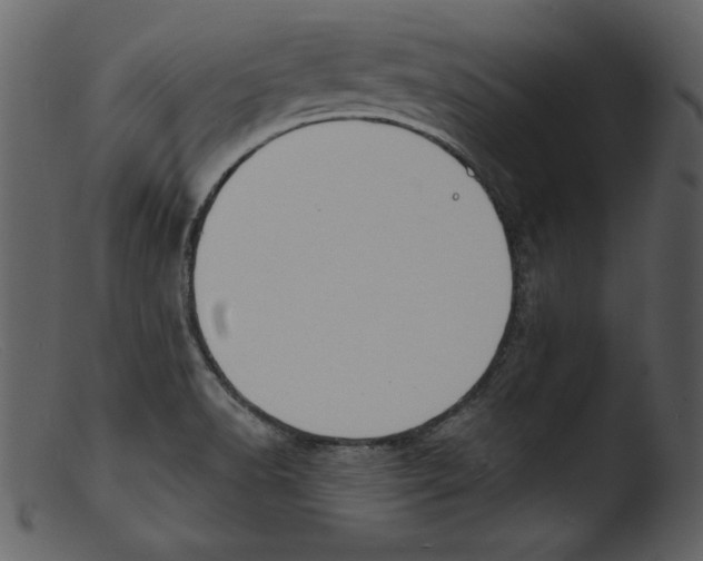 X0000103301518200809261301