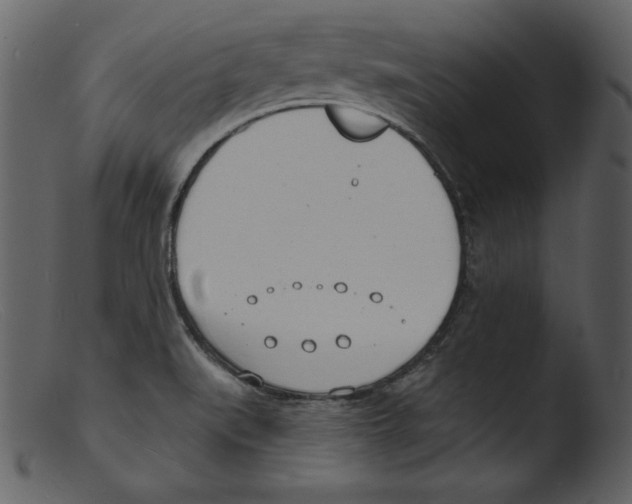 X0000103301519200809261301