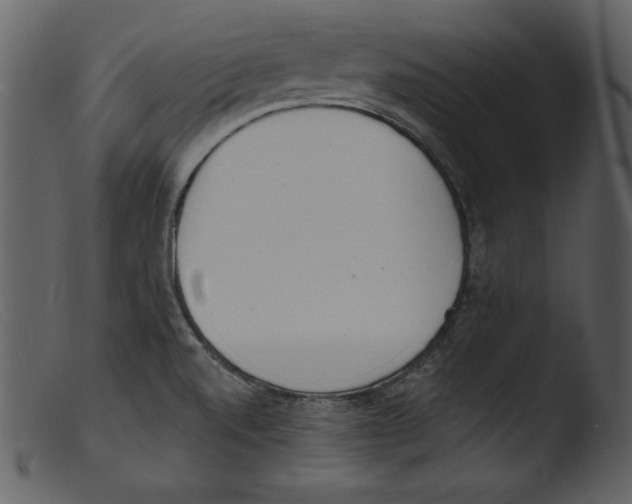 X0000103301520200809261301