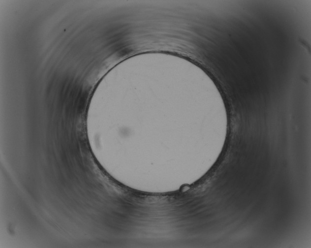 X0000103301521200809261301