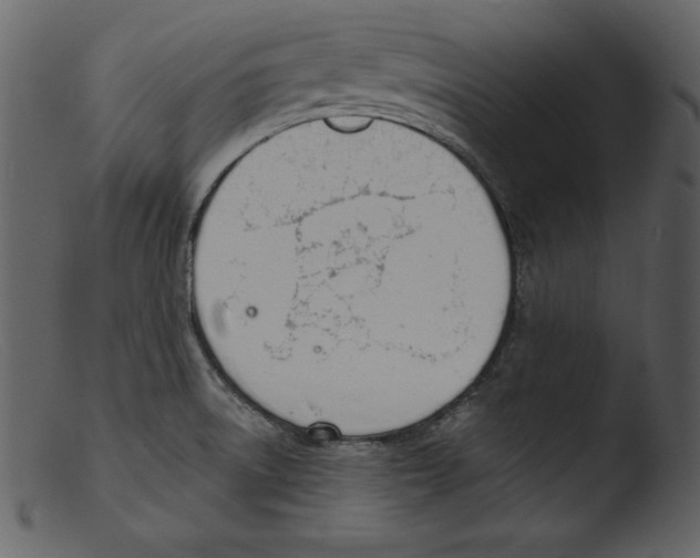 X0000103301522200809261301