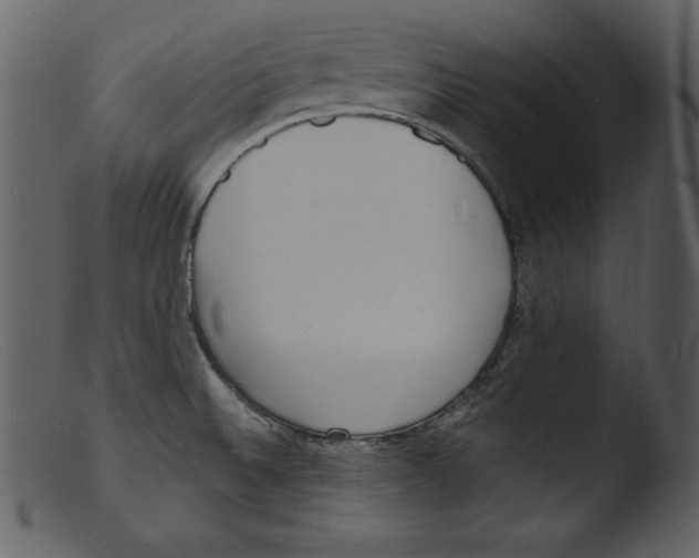 X0000103301524200809261301