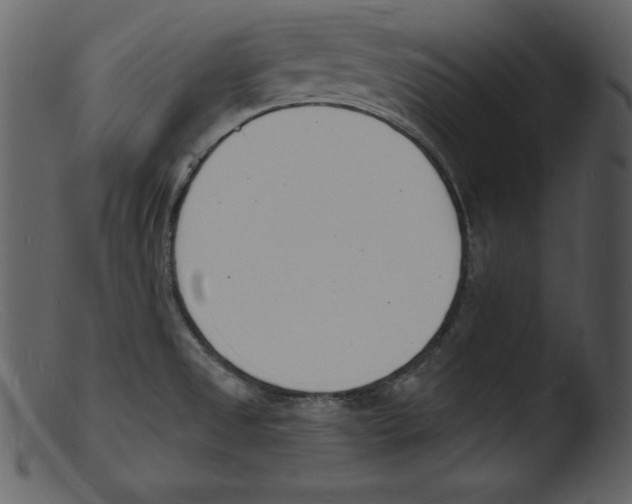 X0000103301525200809261301