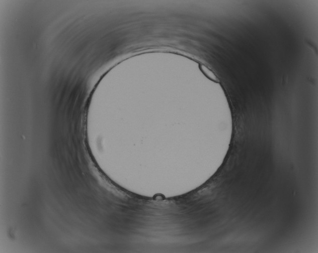 X0000103301526200809261301