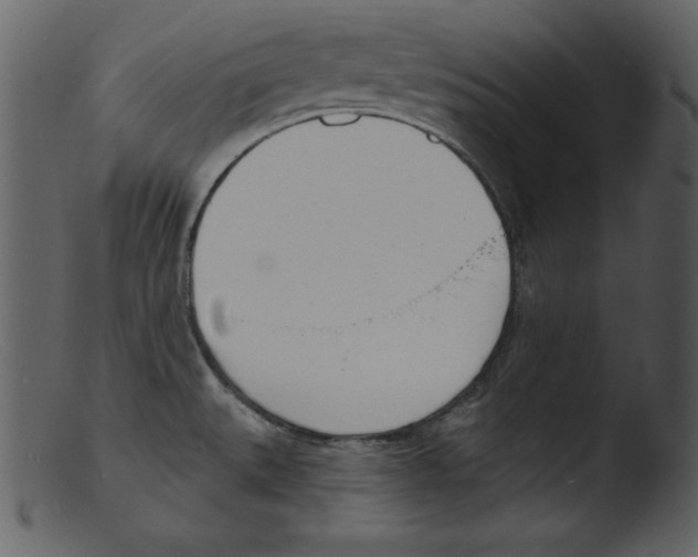 X0000103301527200809261301