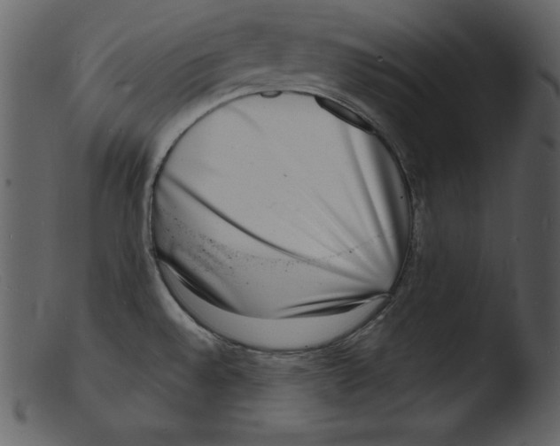 X0000103301528200809261301