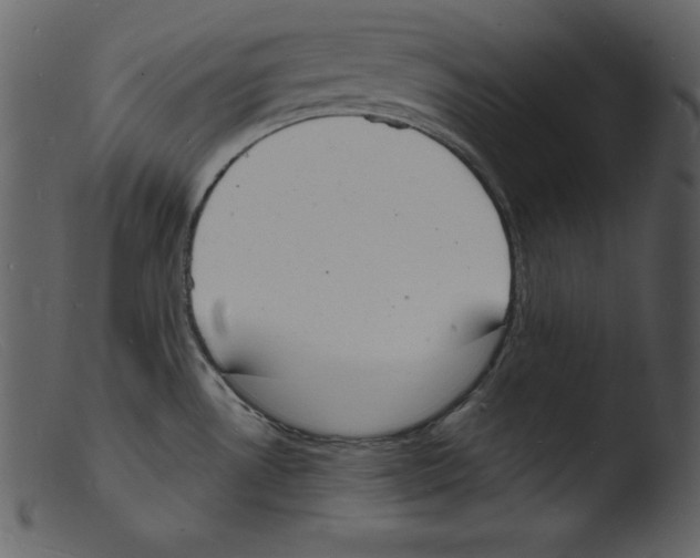 X0000103301530200809261301