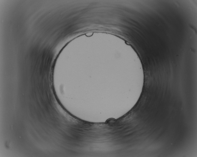 X0000103301531200809261301