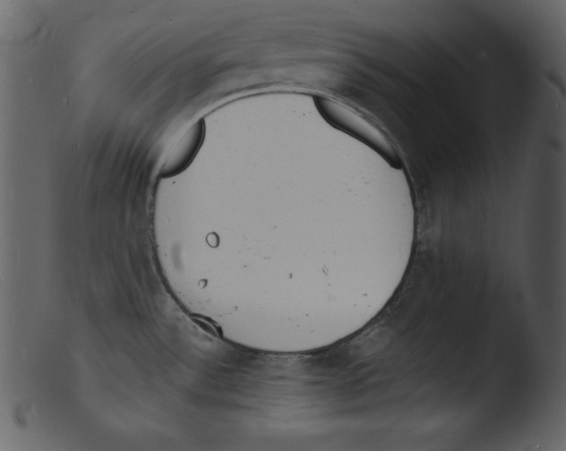 X0000103301532200809261301