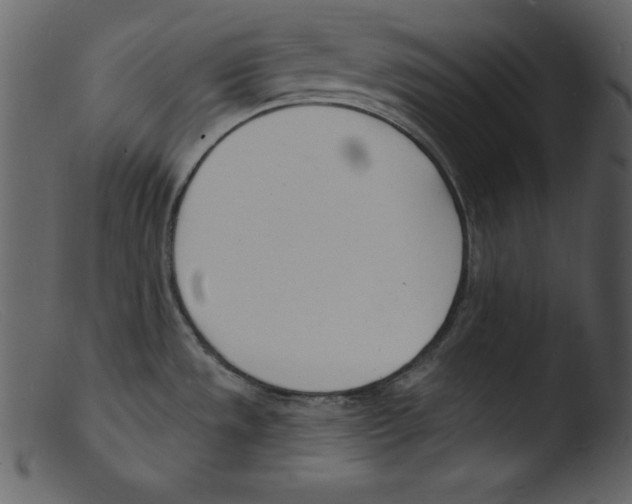 X0000103301533200809261301