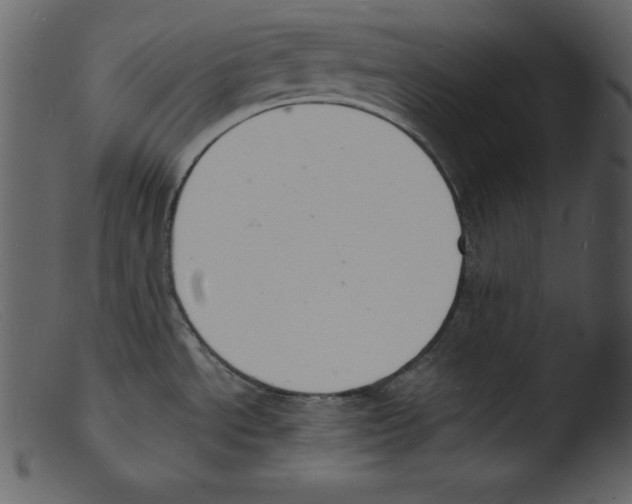 X0000103301534200809261301