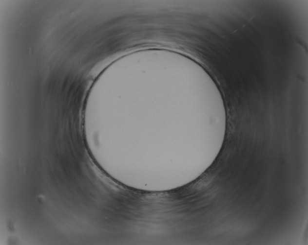 X0000103301535200809261301