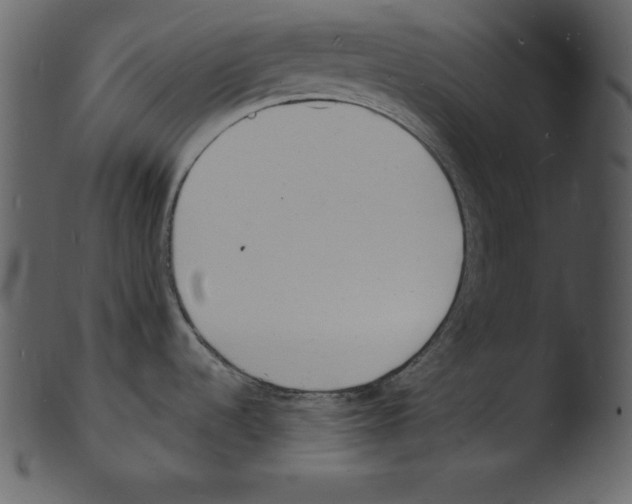 X0000103301536200809261301