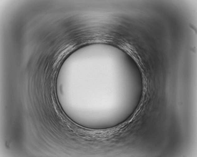 X0000103310001200808291203