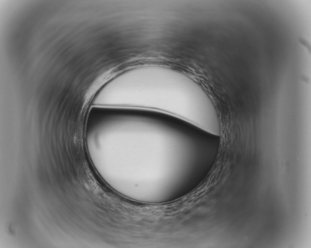 X0000103310004200808291203