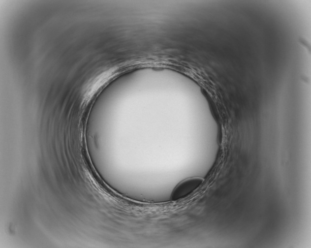 X0000103310005200808291203