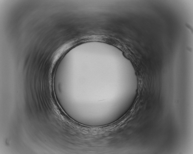 X0000103310006200808291203