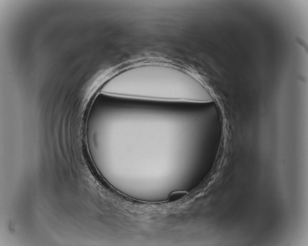 X0000103310007200808291203
