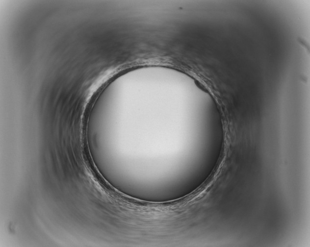 X0000103310008200808291203