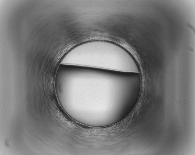X0000103310009200808291203