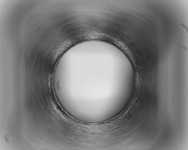 X0000103310010200808291203