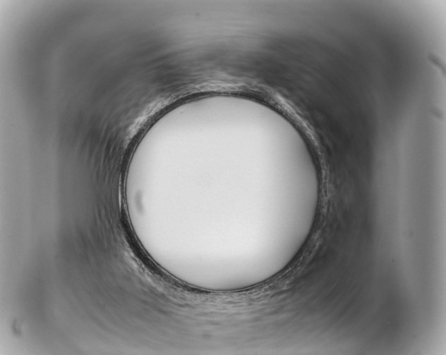 X0000103310011200808291203