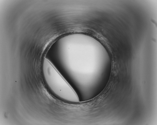 X0000103310012200808291203