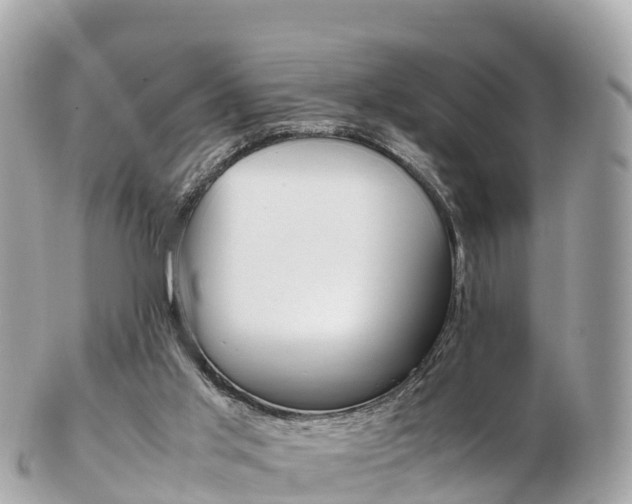 X0000103310013200808291203