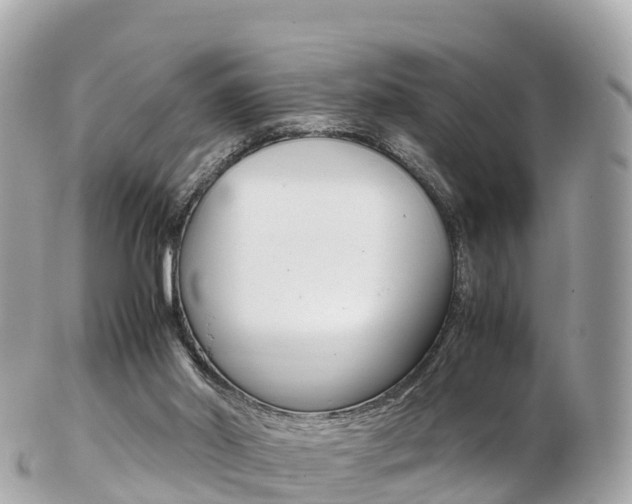X0000103310014200808291203