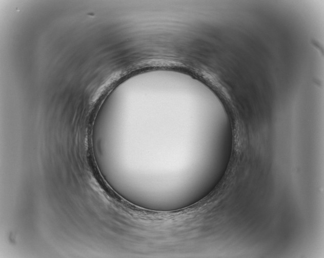 X0000103310015200808291203