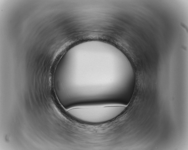 X0000103310016200808291203