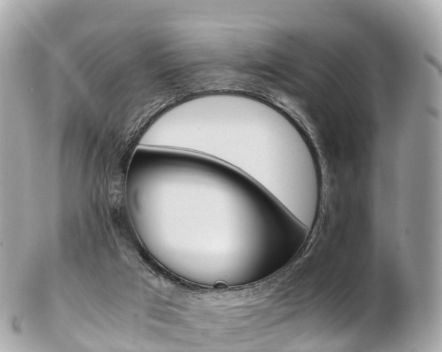 X0000103310017200808291203