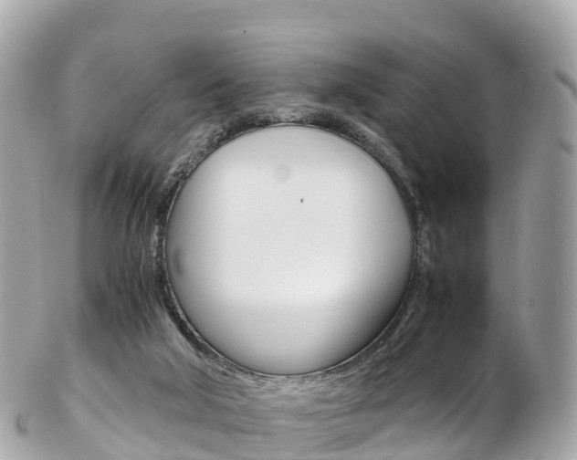 X0000103310018200808291202