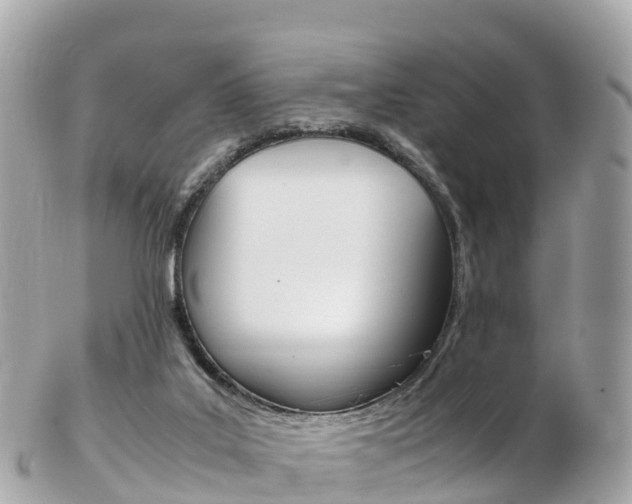 X0000103310019200808291202