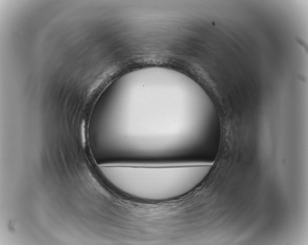 X0000103310020200808291202