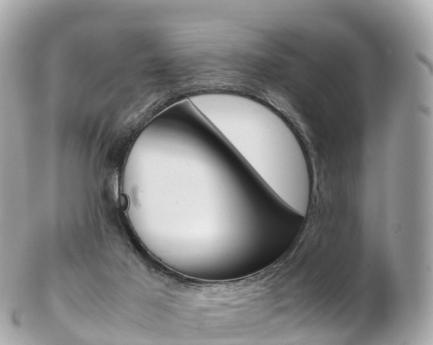 X0000103310021200808291202