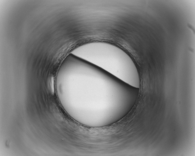 X0000103310022200808291202