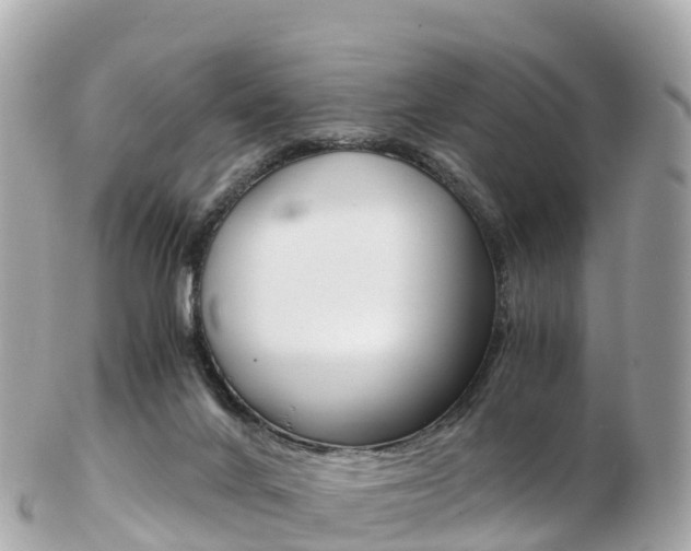 X0000103310024200808291202
