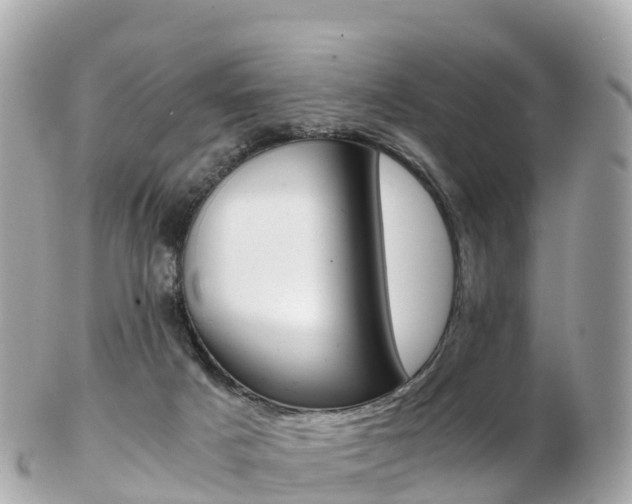 X0000103310025200808291202